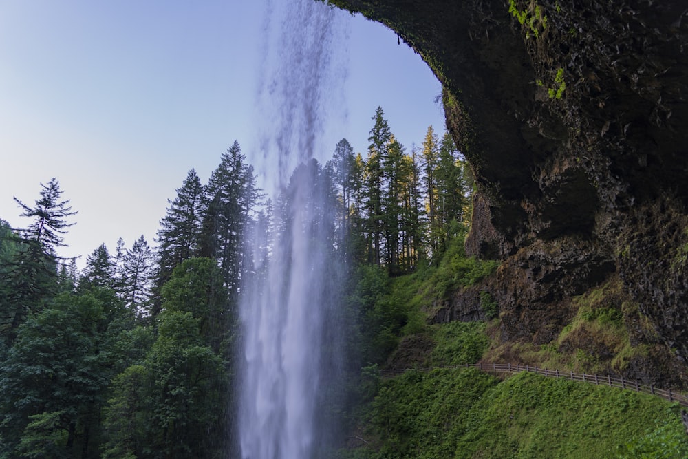 waterfalls near trees