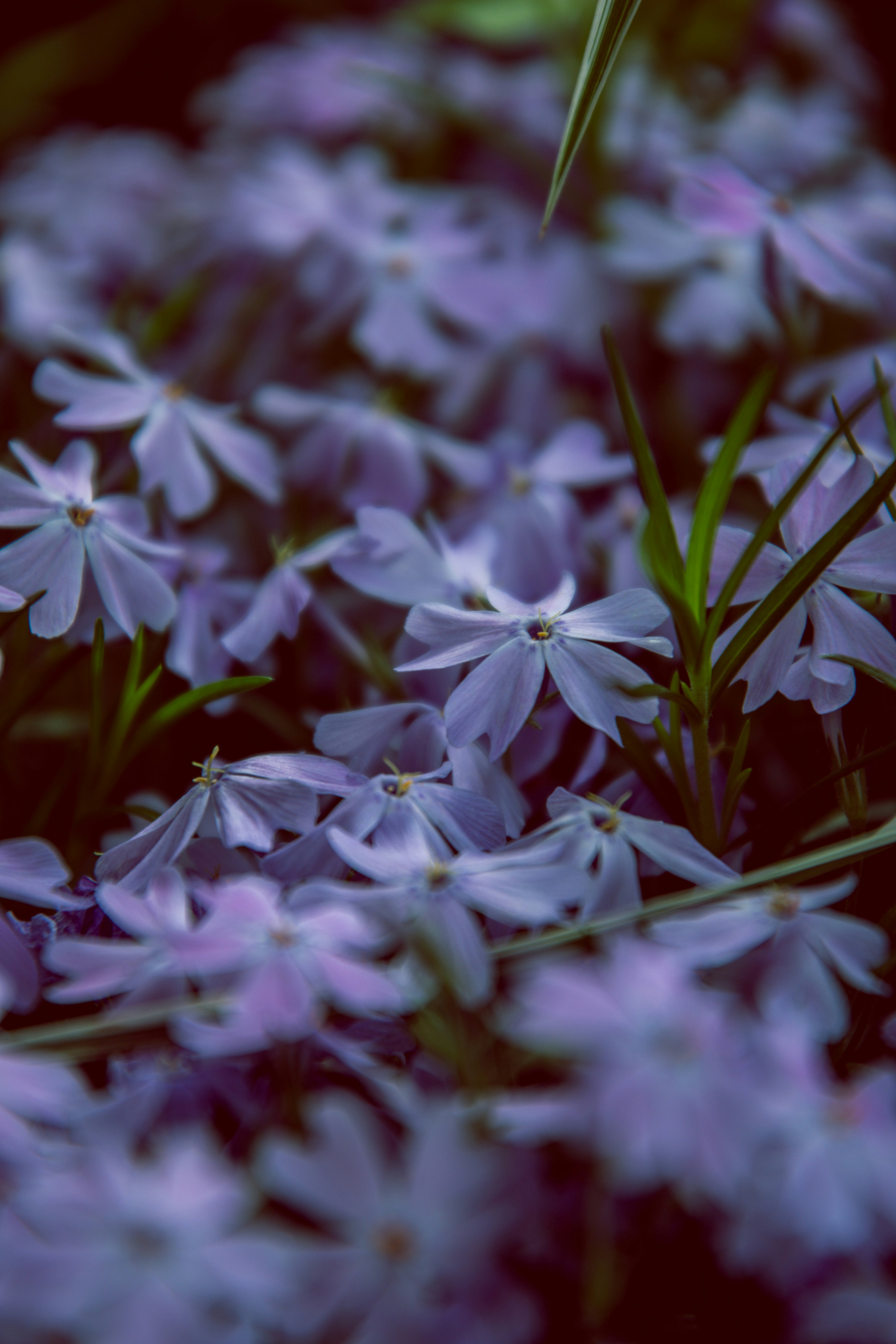 Photo by katerinalandia