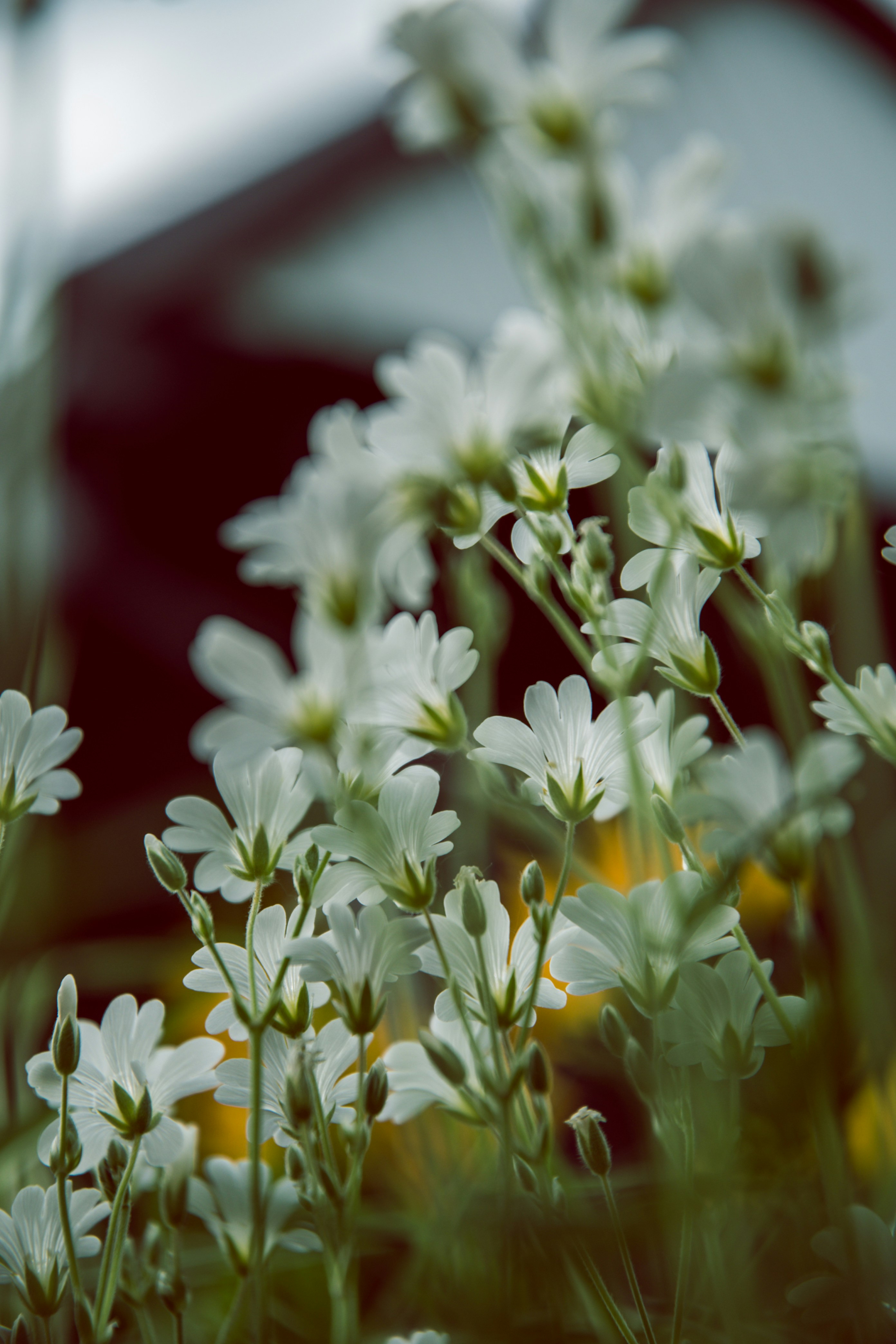 Photo by katerinalandia