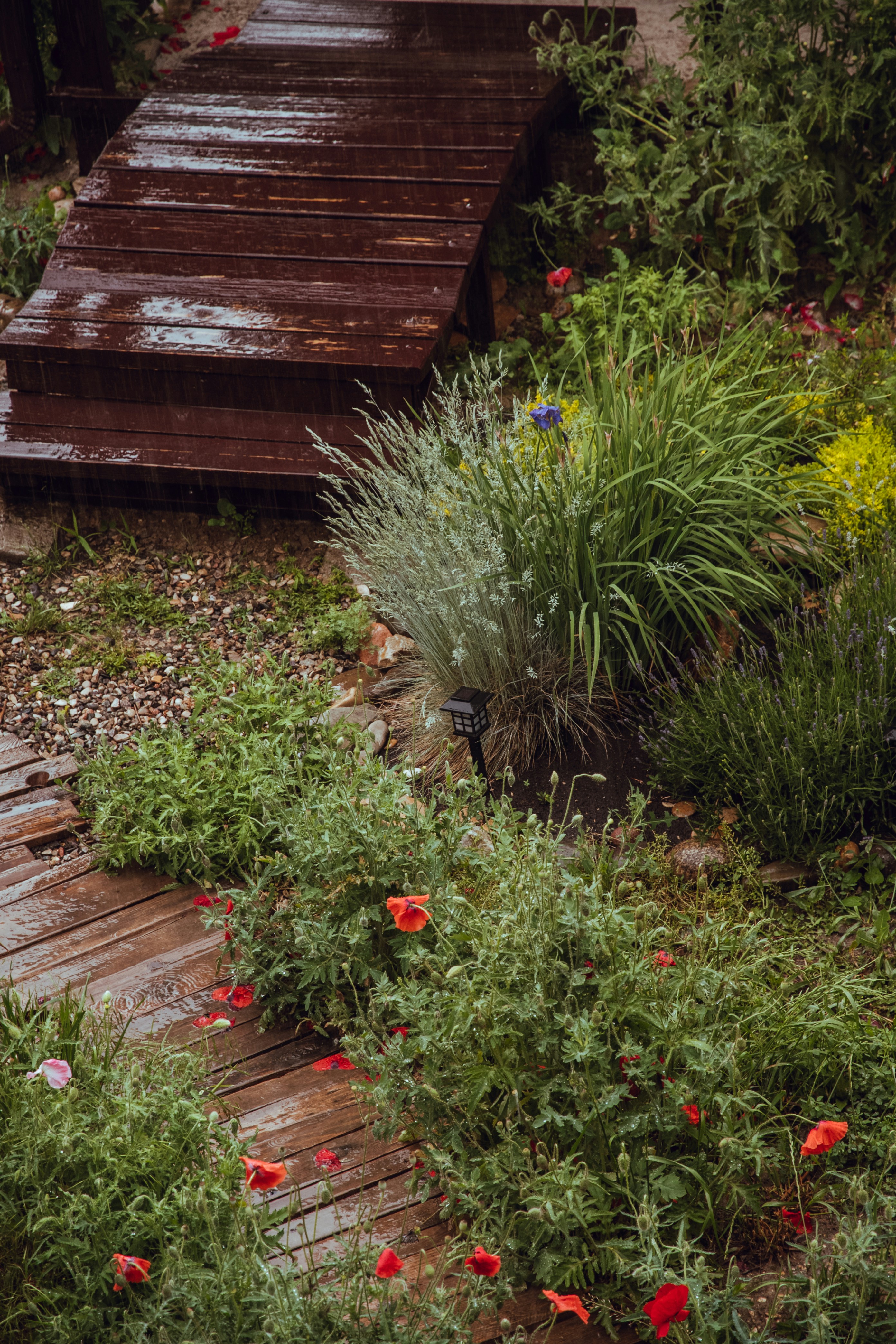 Photo by katerinalandia