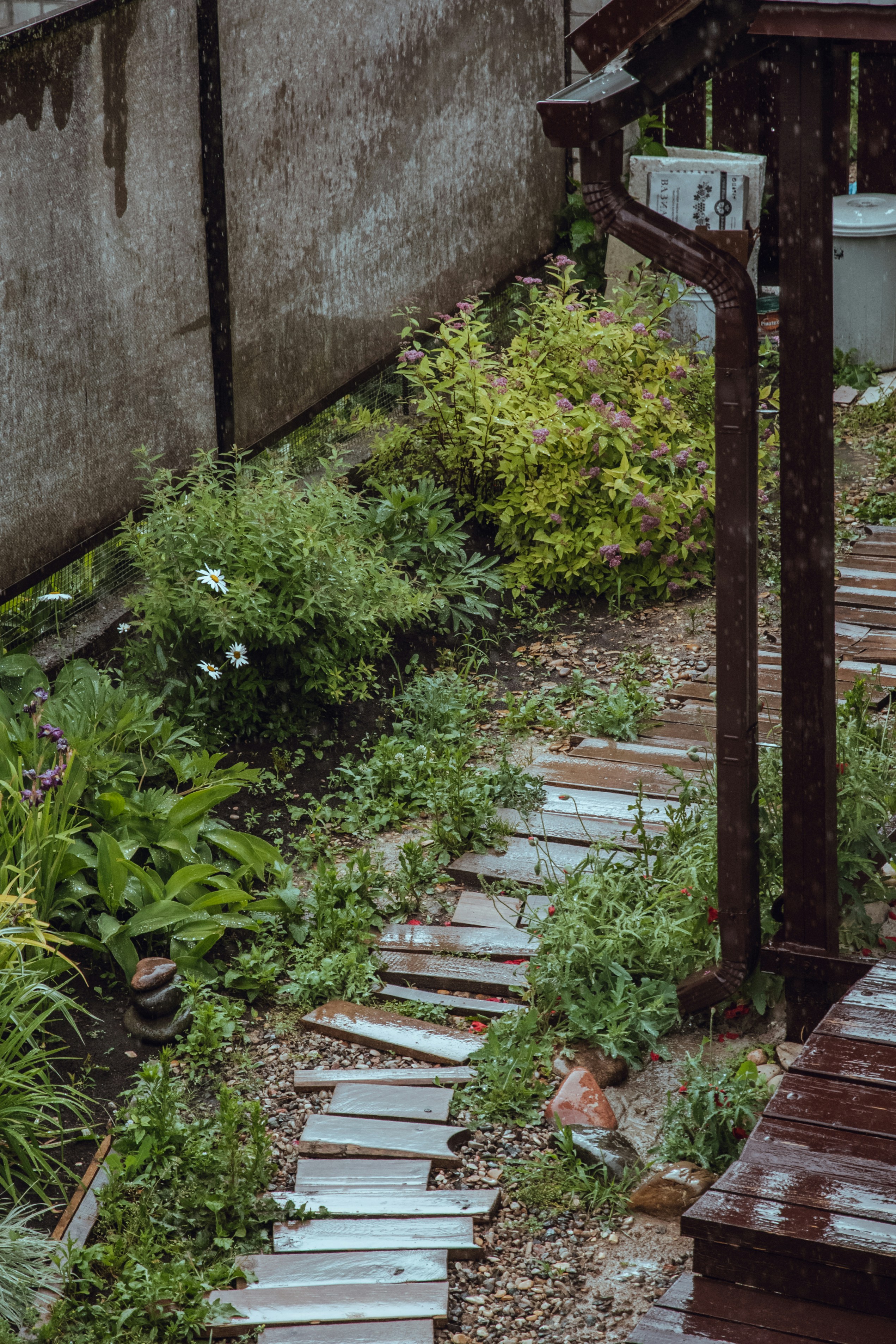 Photo by katerinalandia