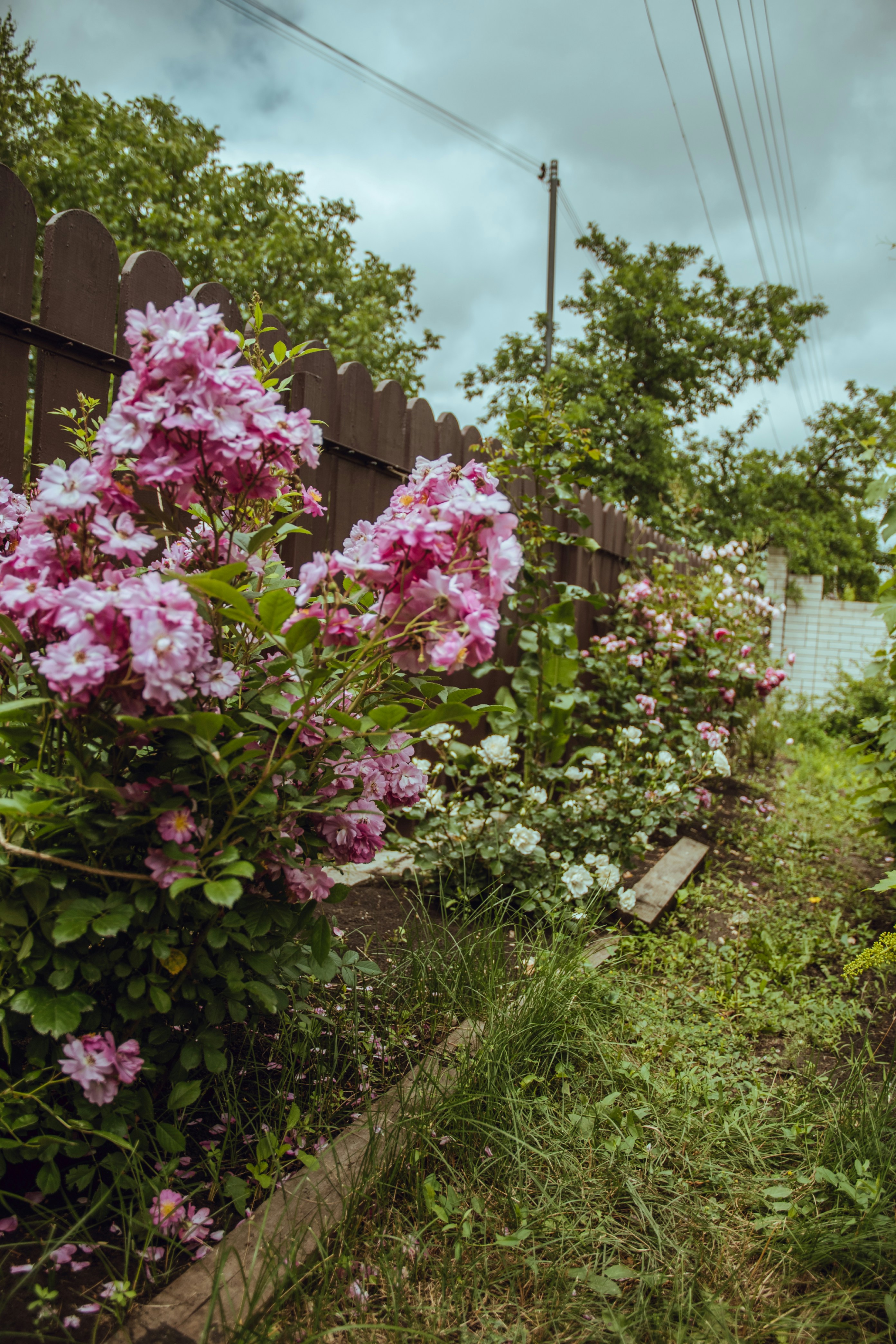 Photo by katerinalandia