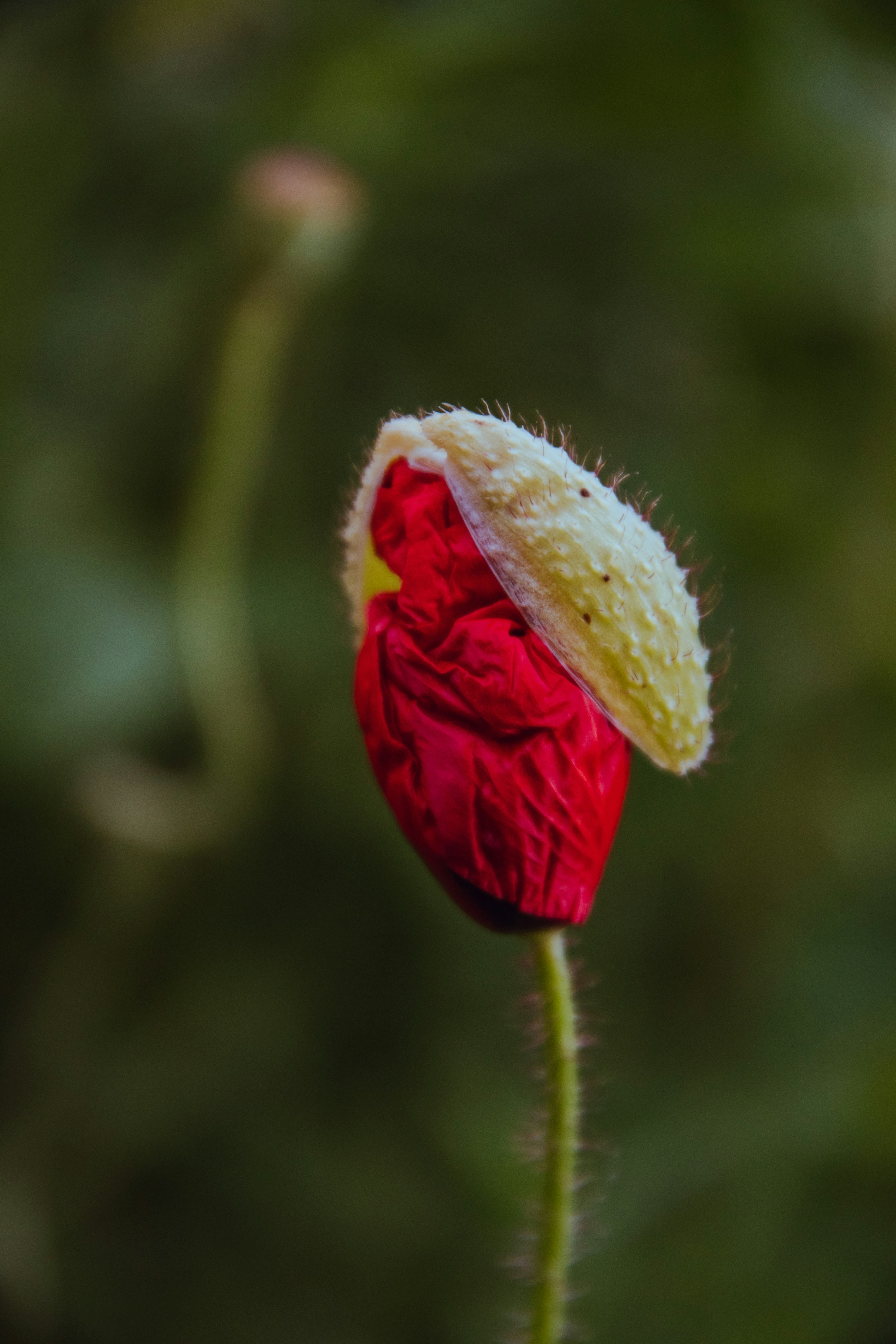 Photo by katerinalandia