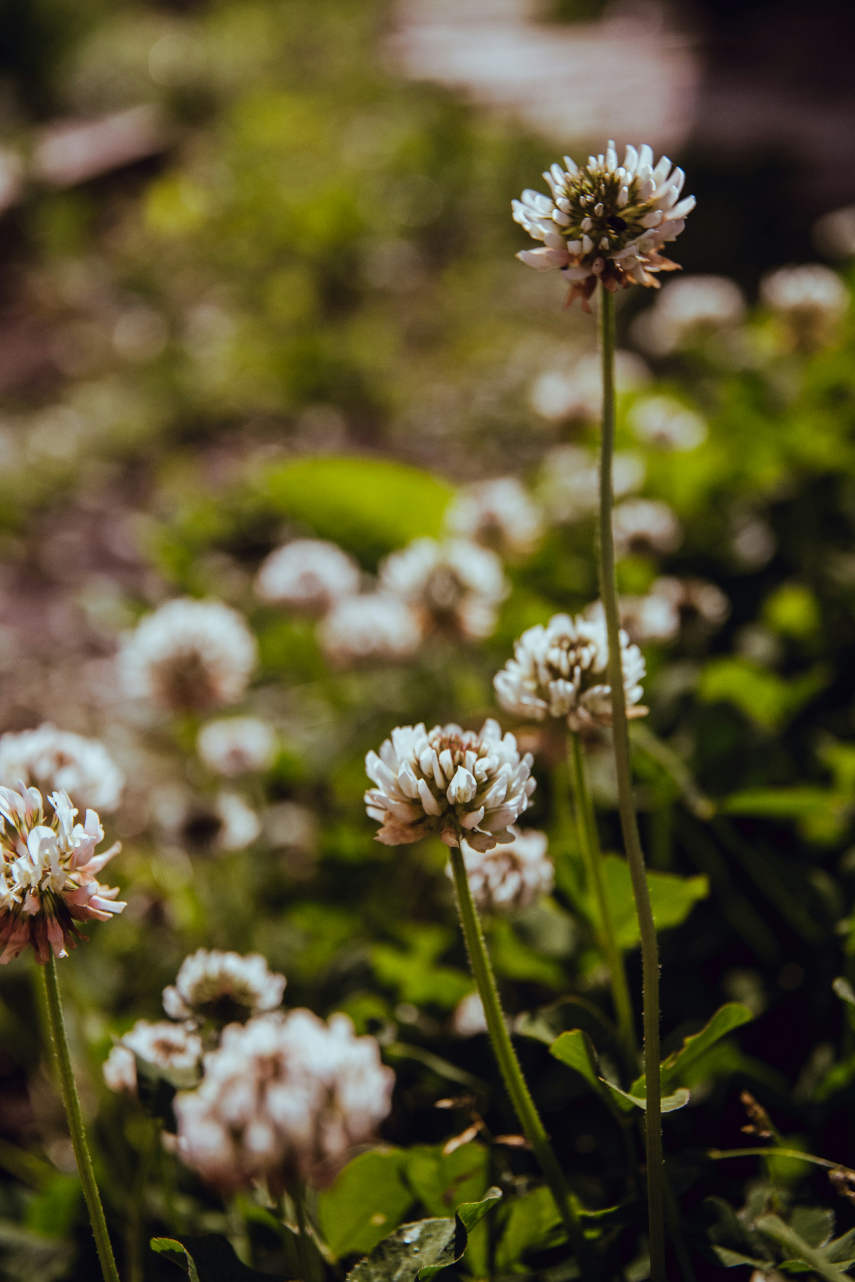 Photo by katerinalandia