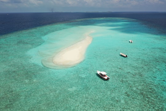 three boats on ocean during daytime in Kaafu Atoll Maldives