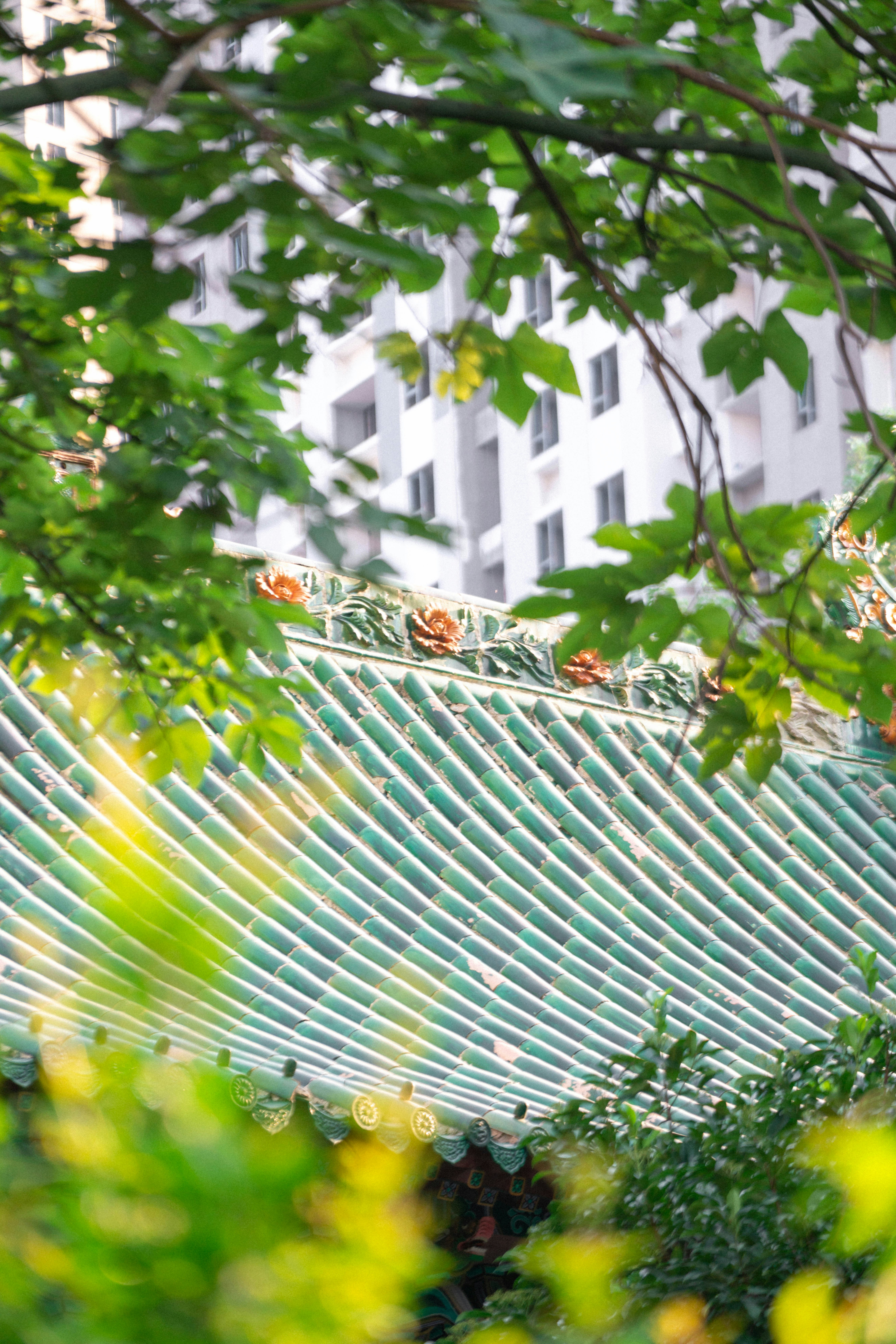 Photo by ooneiroslyl