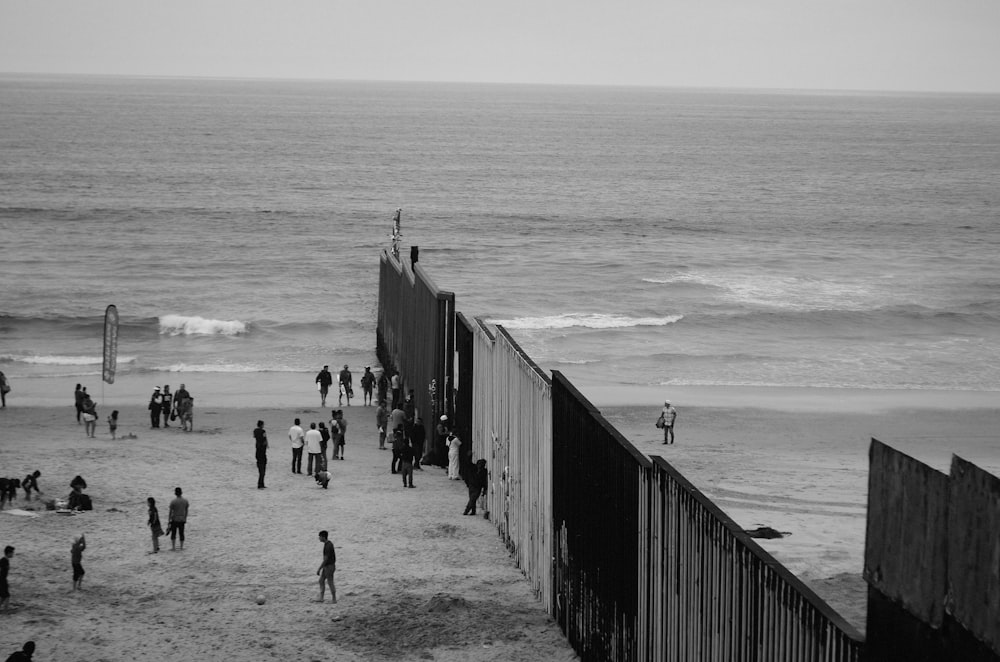 people in seashore near fence