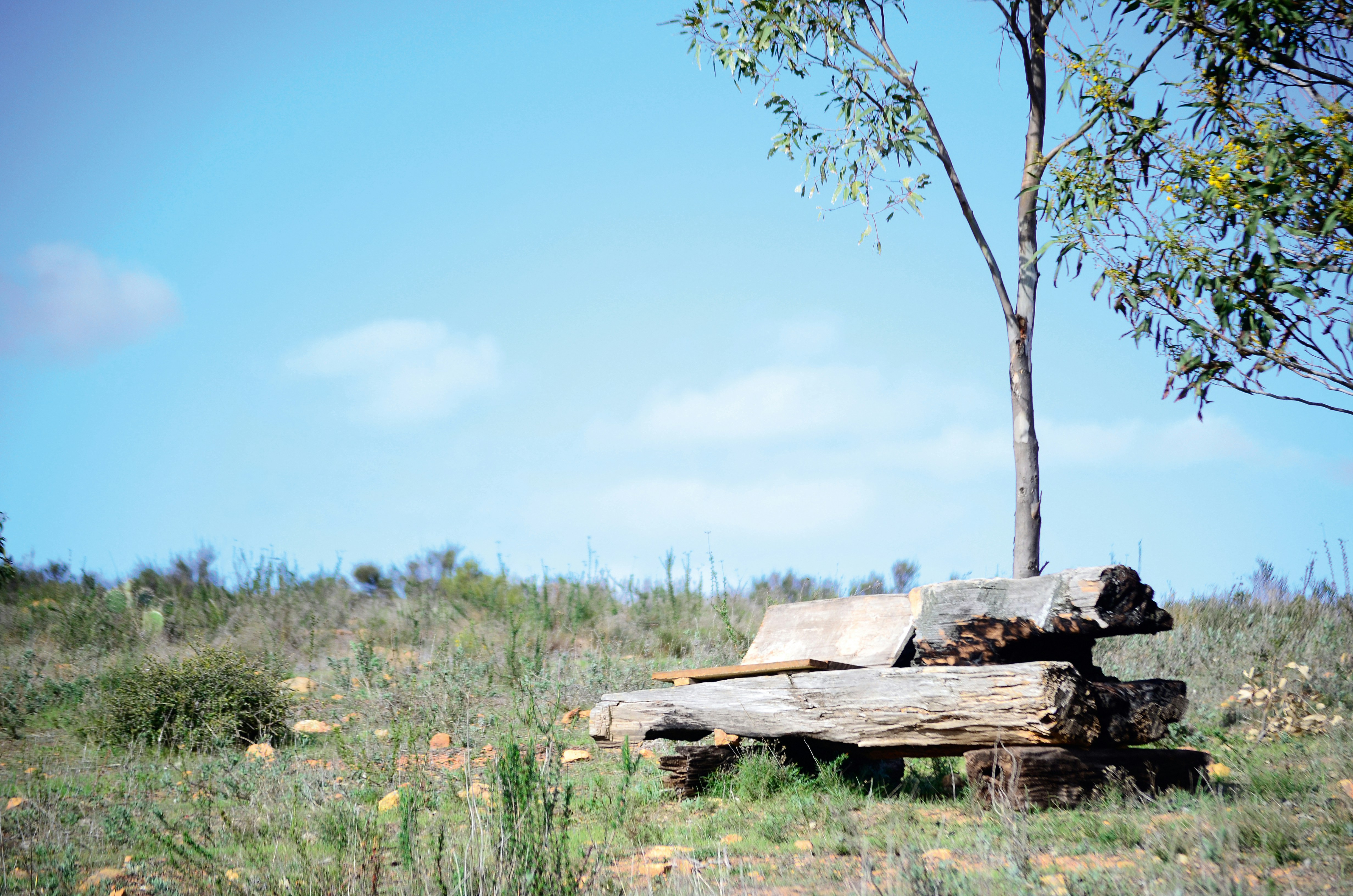숨 쉬는 즐거움을 되찾다: 천식으로부터 자유로워지는 비법