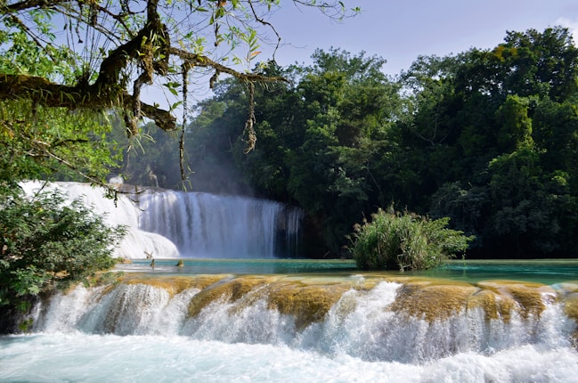 A lush tropical waterfall cascades over rocks into a serene pool, surrounded by dense greenery and overhanging branches.
