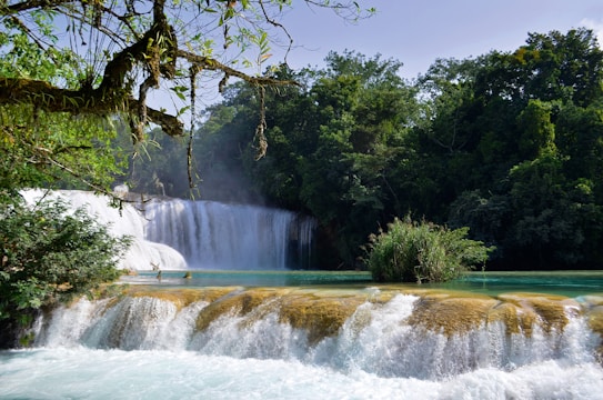 A lush tropical waterfall cascades over rocks into a serene pool, surrounded by dense greenery and overhanging branches.