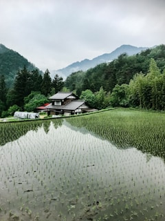 body of water near house