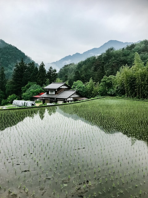 body of water near house