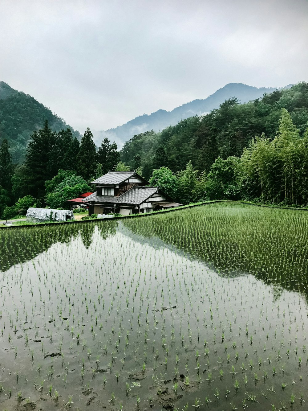 body of water near house