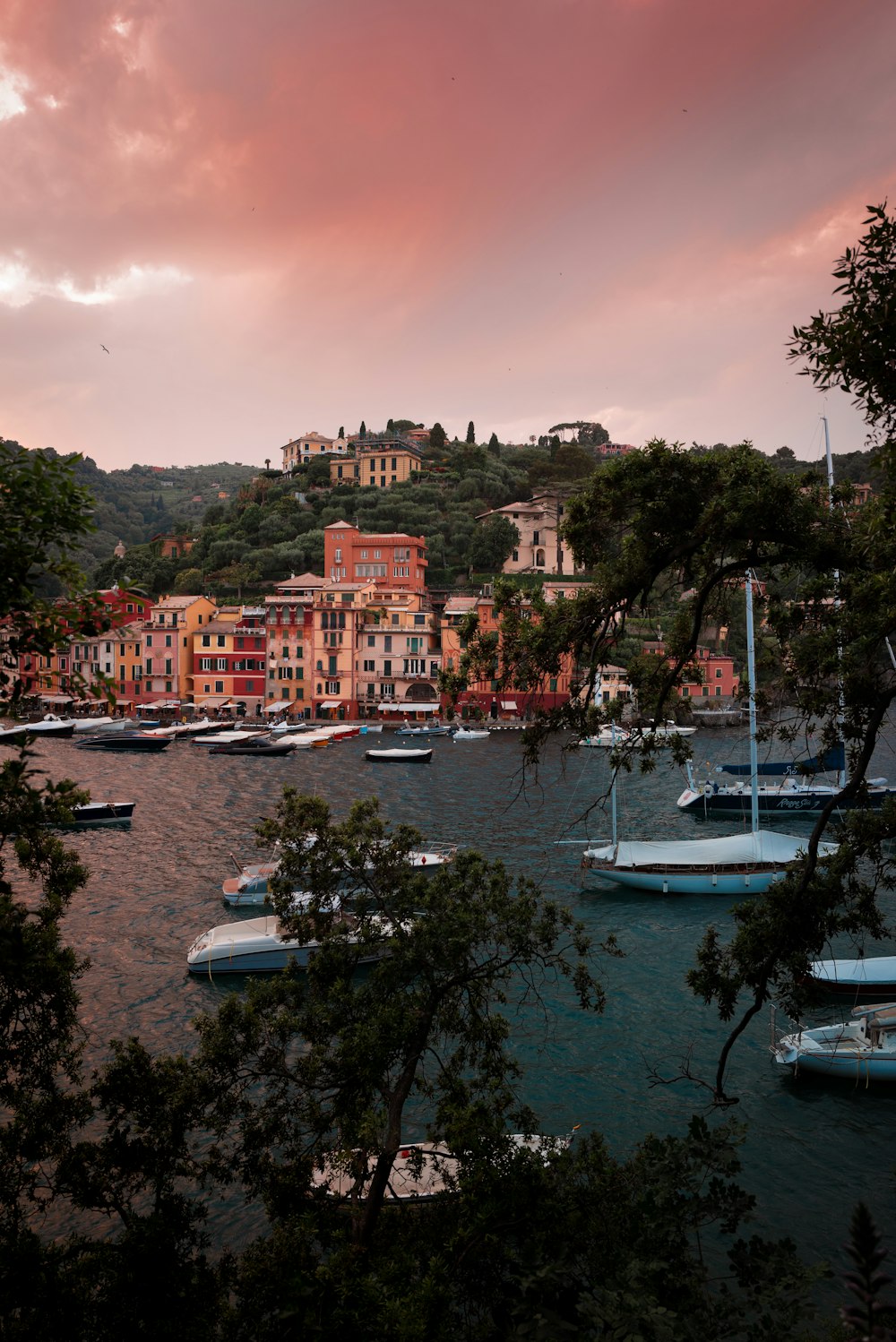 boats docked