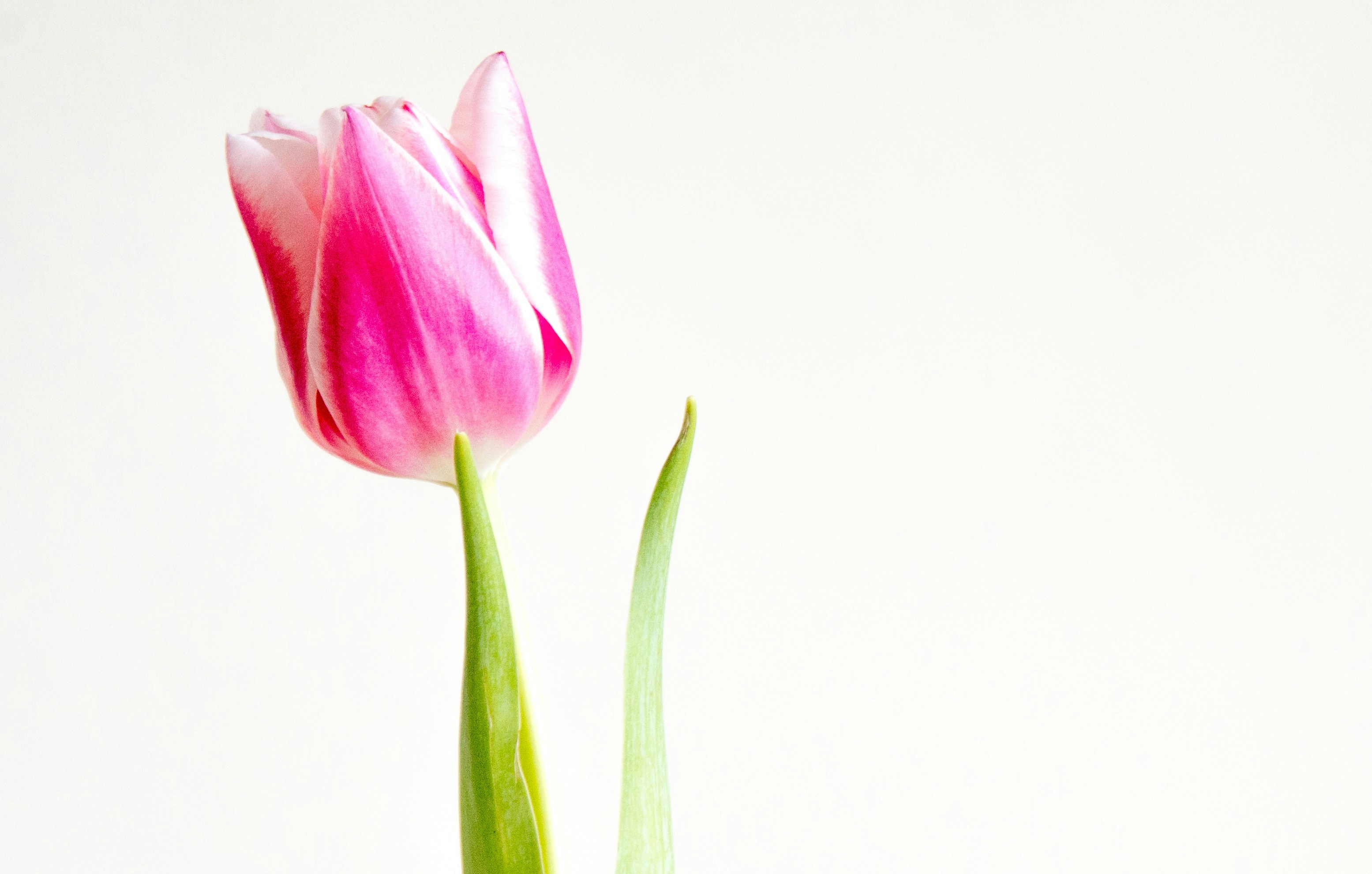 Photo by darrencoleshill