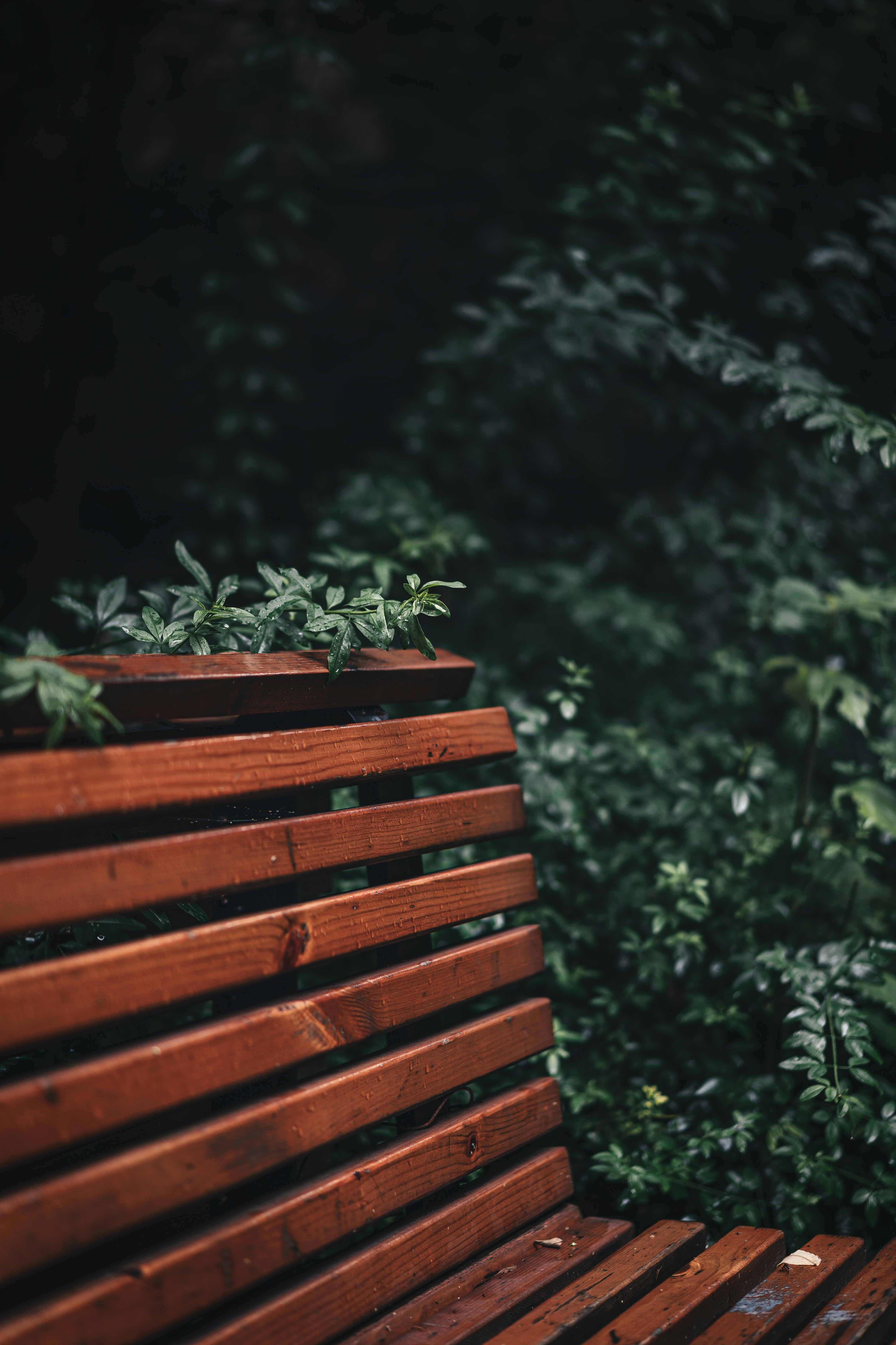 Photo by chengfengrecord