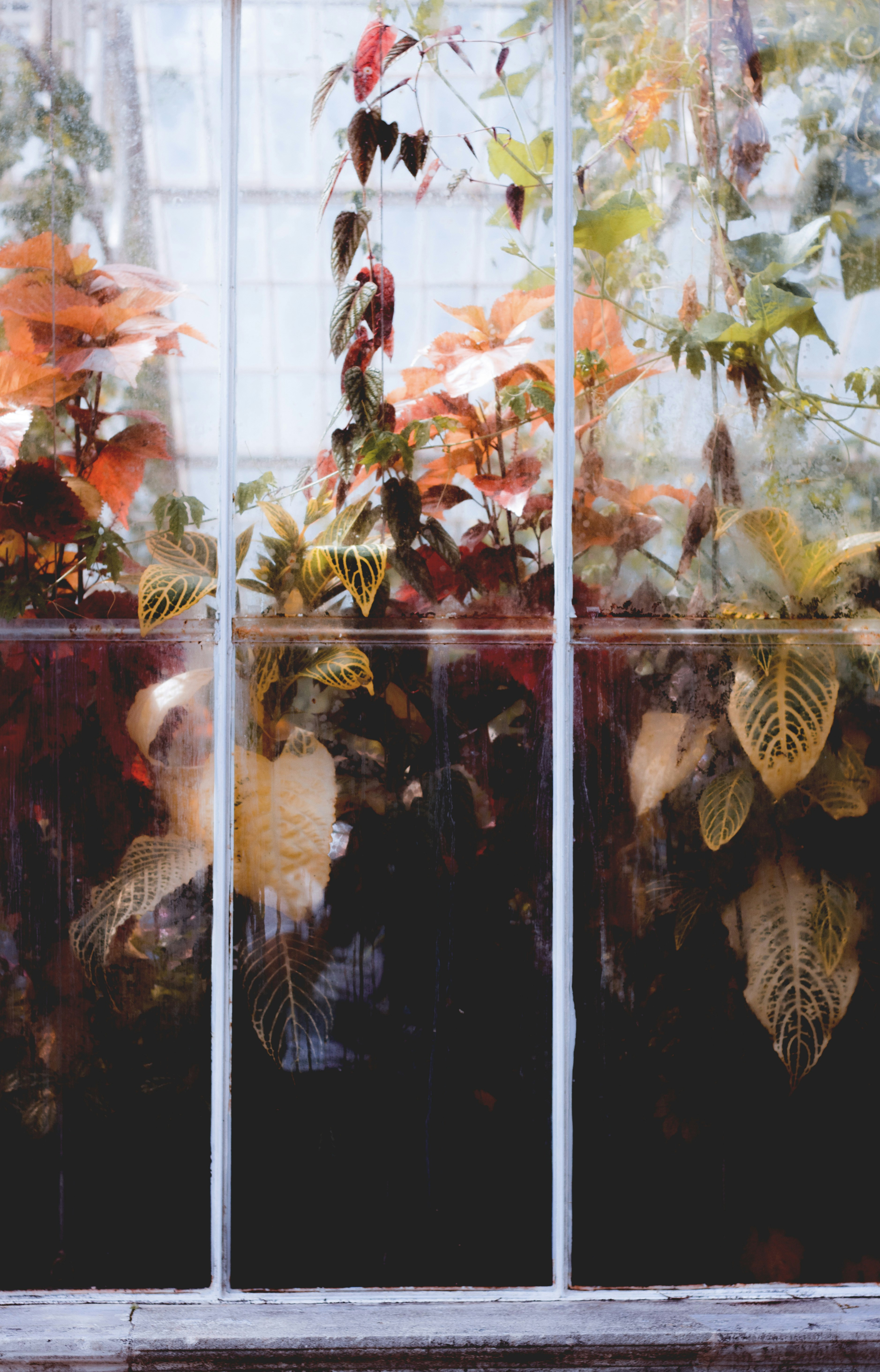 cool summer wallpaper, wallpaper, How to Pack a Cooler for Maximum Cooling Efficiency 6