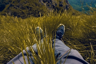 Feet recline amidst tall grass in a lush, mountainous landscape, evoking a sense of relaxation and immersion in nature.