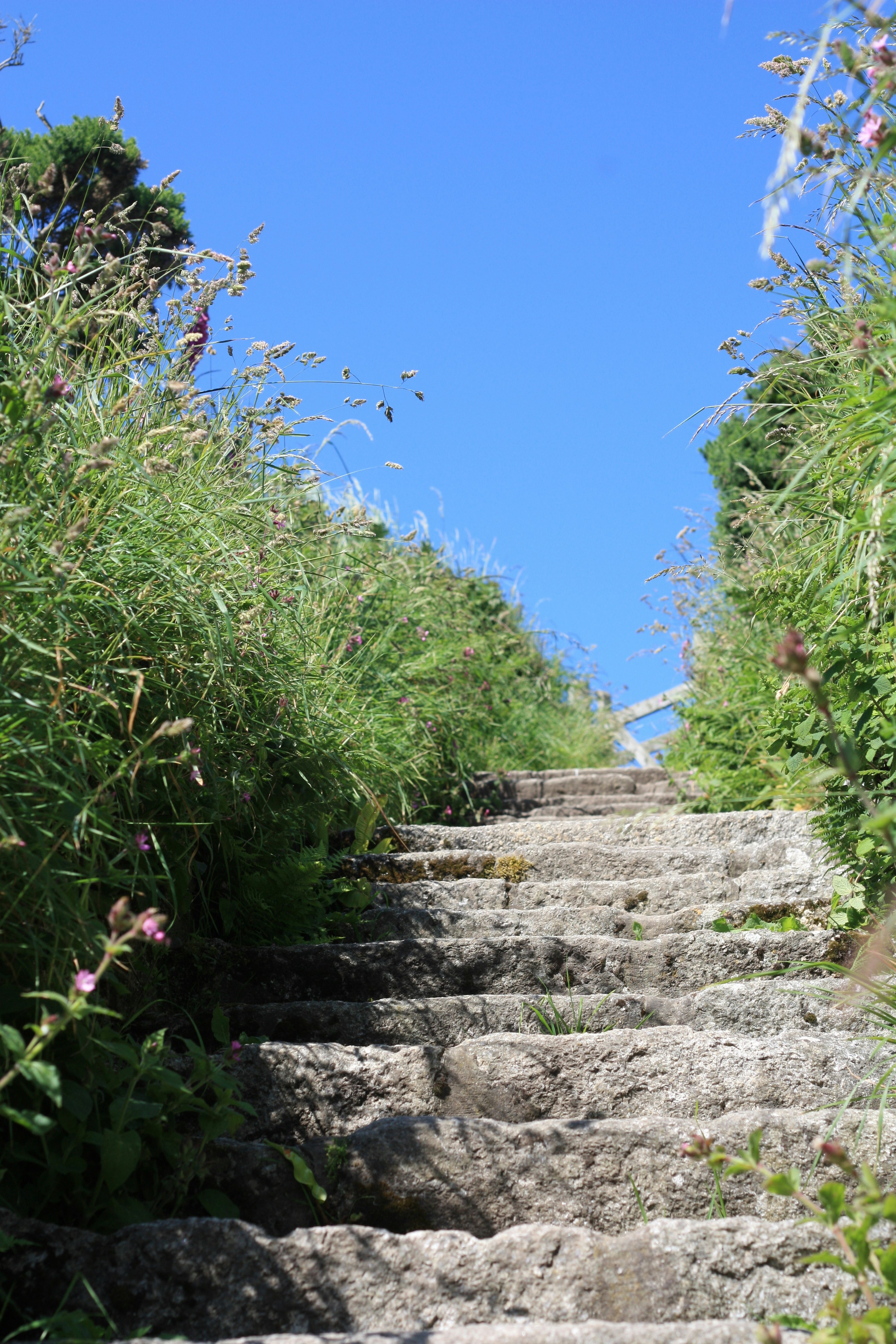 Photo by leahtardivel