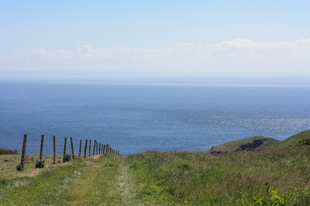 ocean during daytime