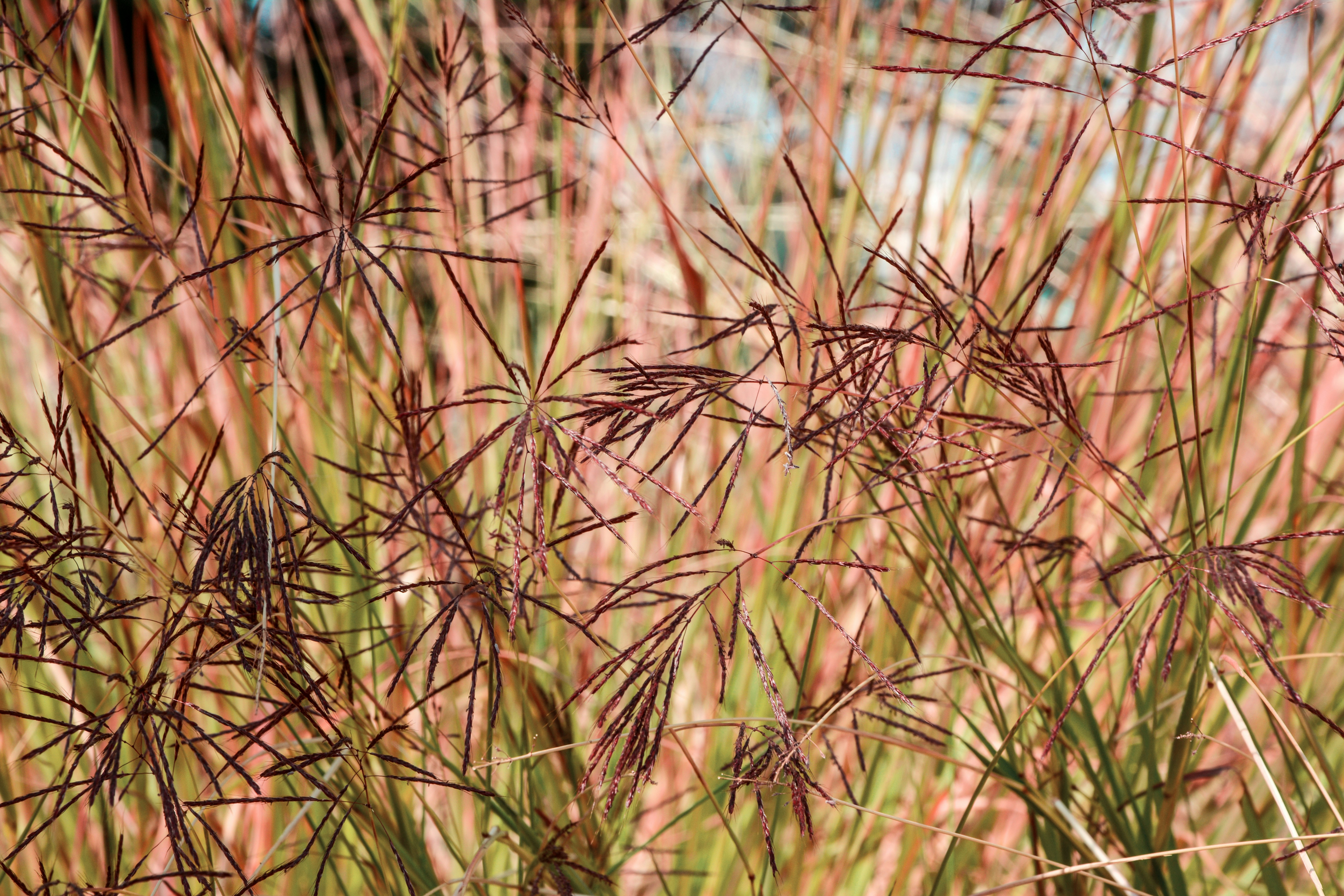 Photo by mitulgrover