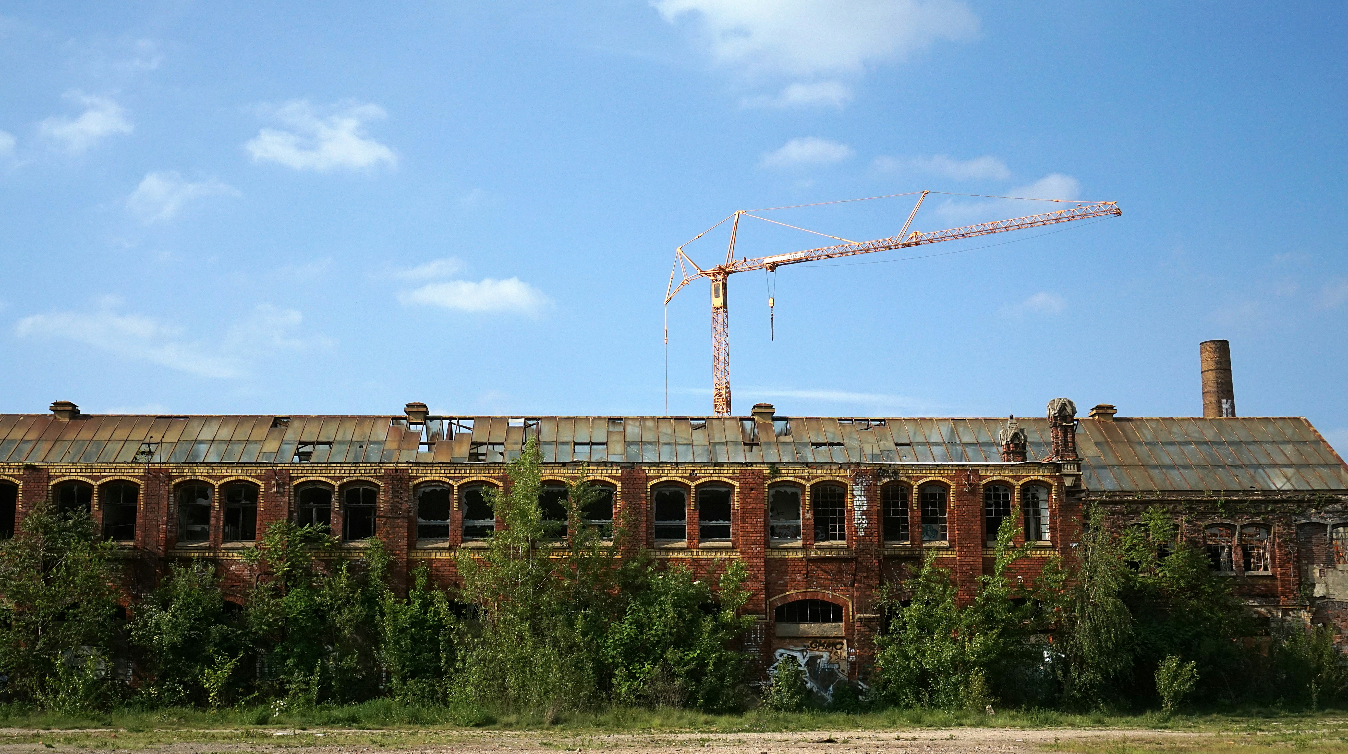 brown building near plants