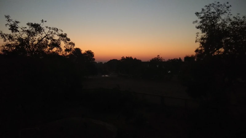 Hidden and Underrated Cafes in Mehsana That Most Tourists Miss
