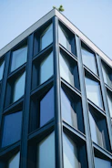 A commercial building facade with clean lines and sustainable green roofing.