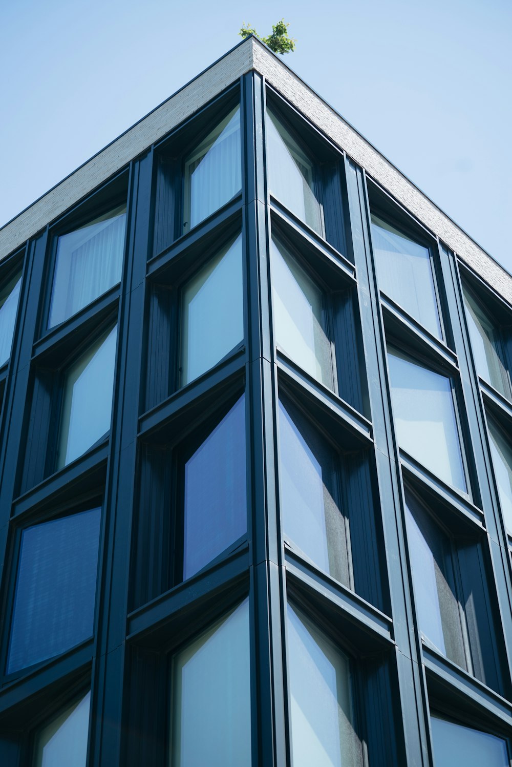 white and black curtain wall during daytime