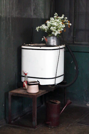 A calm, homey corner featuring a vintage washing machine surrounded by plants.