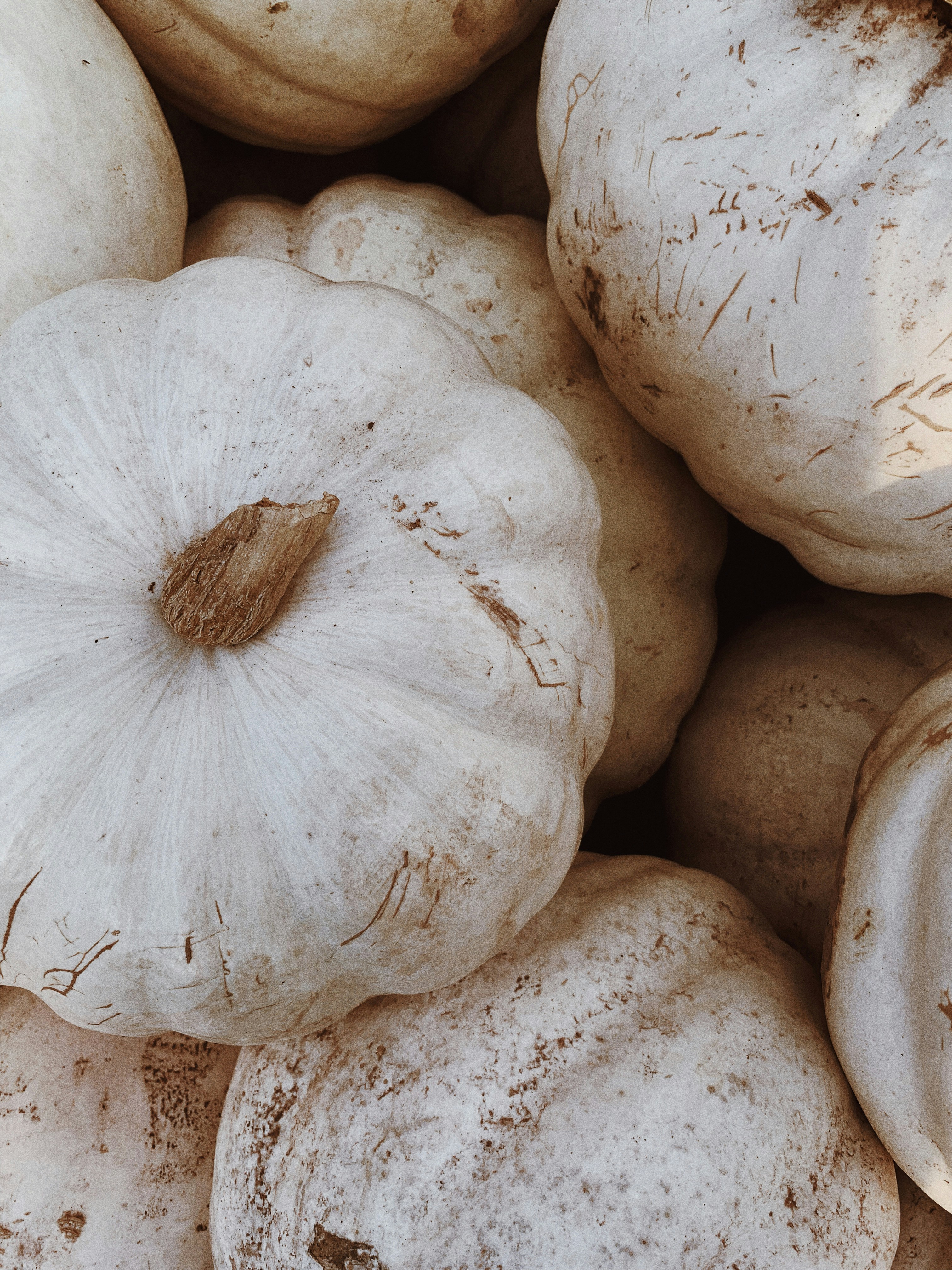 Photo by slaterinthesun