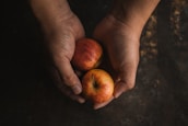 Hands gently holding a mix of colorful organic fruits against a soft natural background.