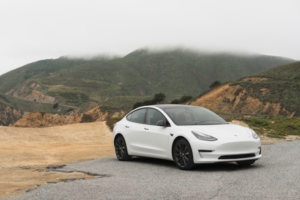 a white colored tesla parked in a road