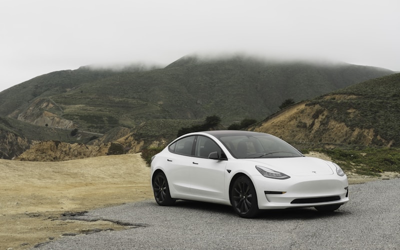 2022 Tesla Model 3 Performance