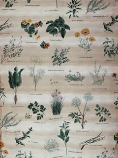 A detailed botanical illustration featuring various herbs and plants, each labeled with their scientific names. The plants are drawn with intricate detail, showing leaves, stems, flowers, and roots. The background is a soft, muted beige, providing a neutral canvas for the vibrant greens and other earth tones of the plant illustrations.