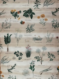 A detailed botanical illustration featuring various herbs and plants, each labeled with their scientific names. The plants are drawn with intricate detail, showing leaves, stems, flowers, and roots. The background is a soft, muted beige, providing a neutral canvas for the vibrant greens and other earth tones of the plant illustrations.