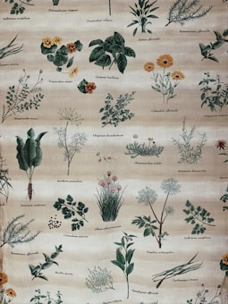 A detailed botanical illustration featuring various herbs and plants, each labeled with their scientific names. The plants are drawn with intricate detail, showing leaves, stems, flowers, and roots. The background is a soft, muted beige, providing a neutral canvas for the vibrant greens and other earth tones of the plant illustrations.