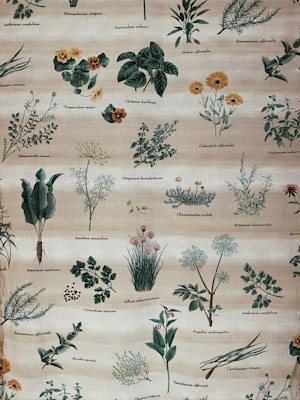 A detailed botanical illustration featuring various herbs and plants, each labeled with their scientific names. The plants are drawn with intricate detail, showing leaves, stems, flowers, and roots. The background is a soft, muted beige, providing a neutral canvas for the vibrant greens and other earth tones of the plant illustrations.