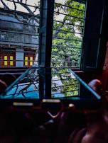 A smartphone is held near an open window, reflecting trees and the outdoor scene in its screen. The room has dim lighting, and the window bars are visible, framing a view of a building with yellow and red window panes. The outside environment includes lush green foliage and branches silhouetted against the sky.