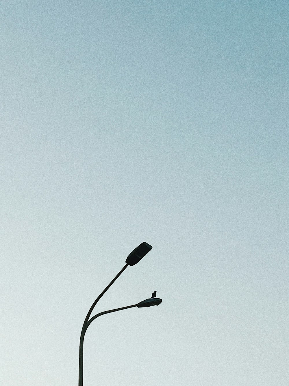 gray street light during daytime