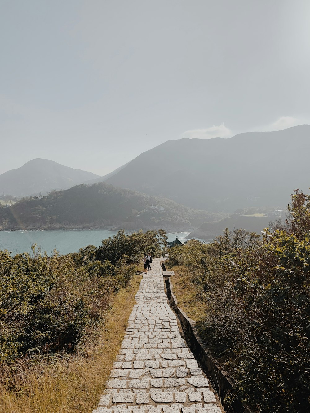 few people walking on pathway surrounded with tall green plants viewing sea and mountain