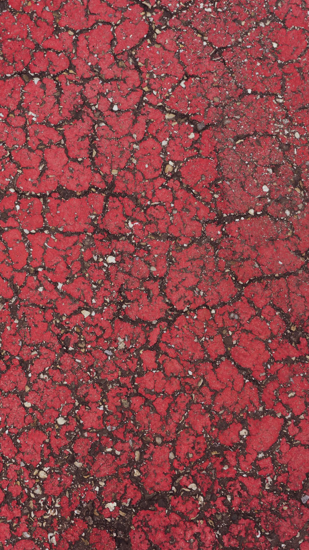 a close up of a red and black surface