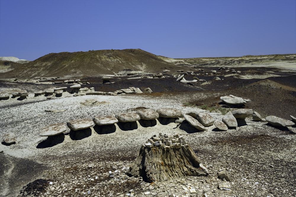 gray flat stones on a field