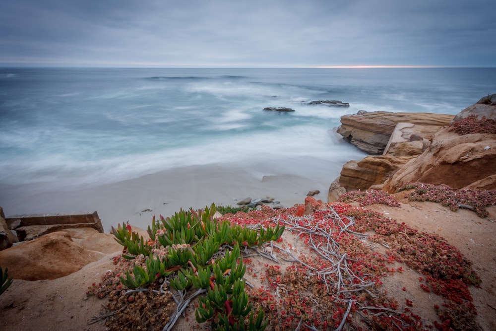 beach cliff viewing calm sea