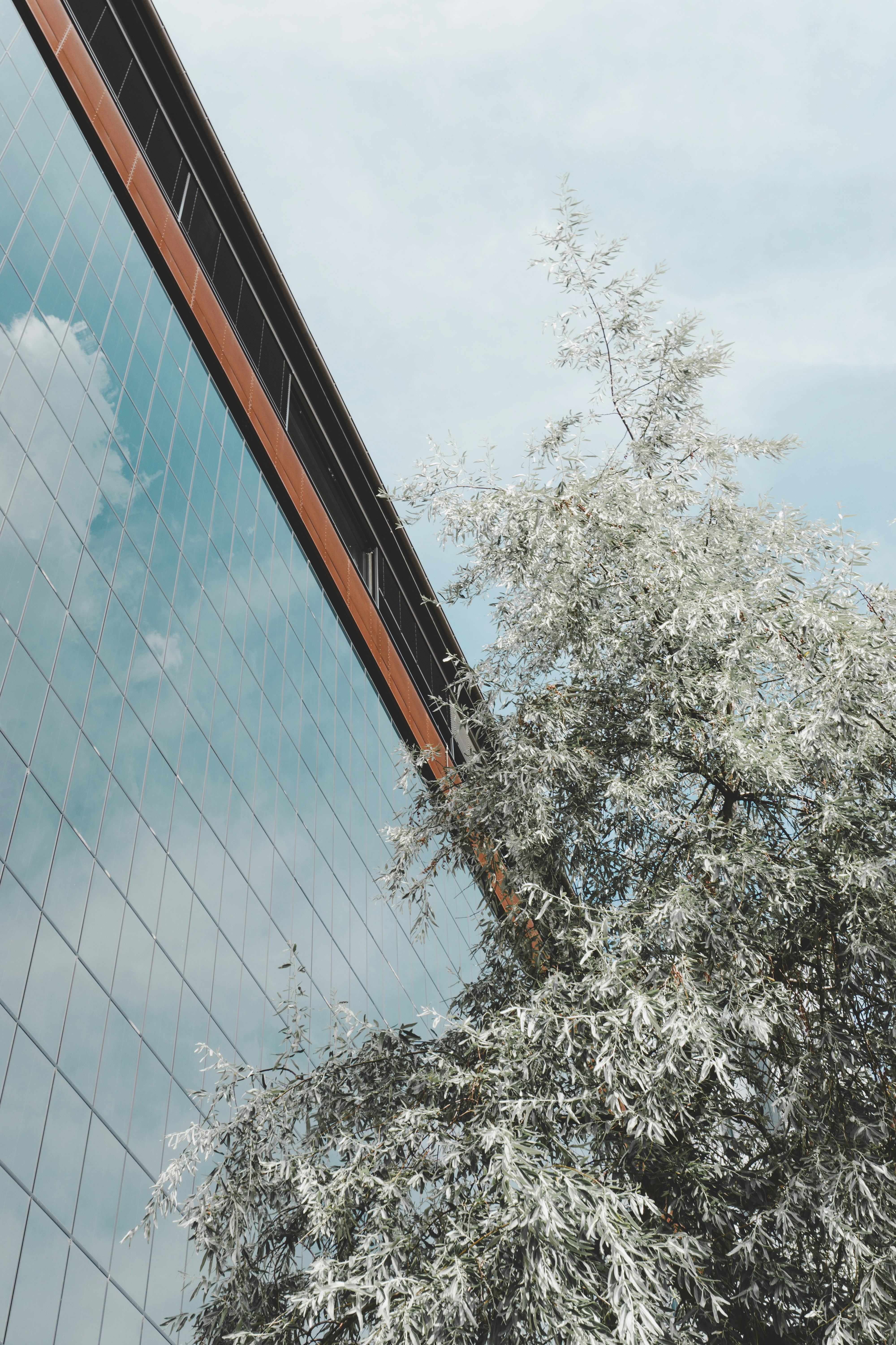 Photo by justusmenke