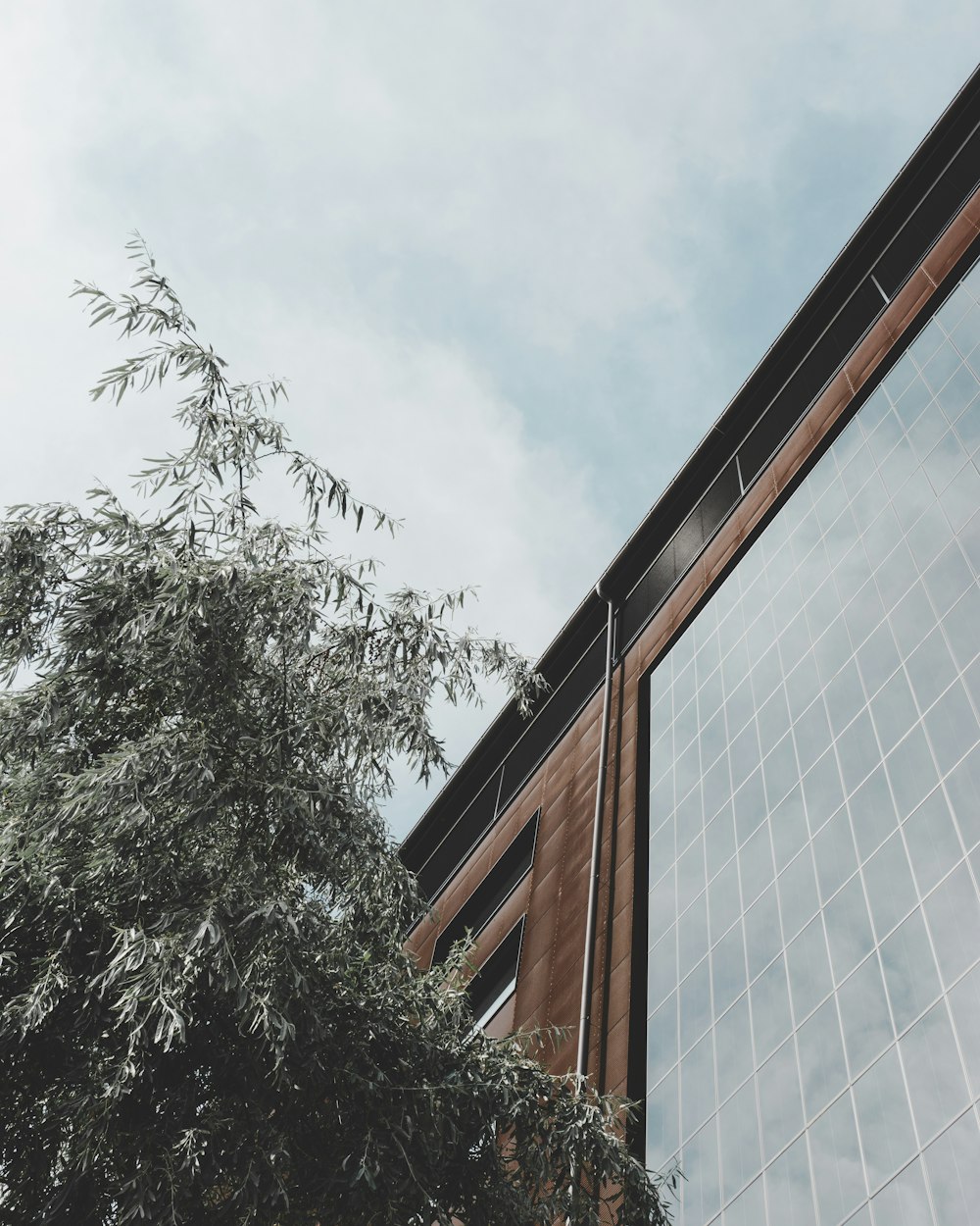 low angle photo of glass curtain building