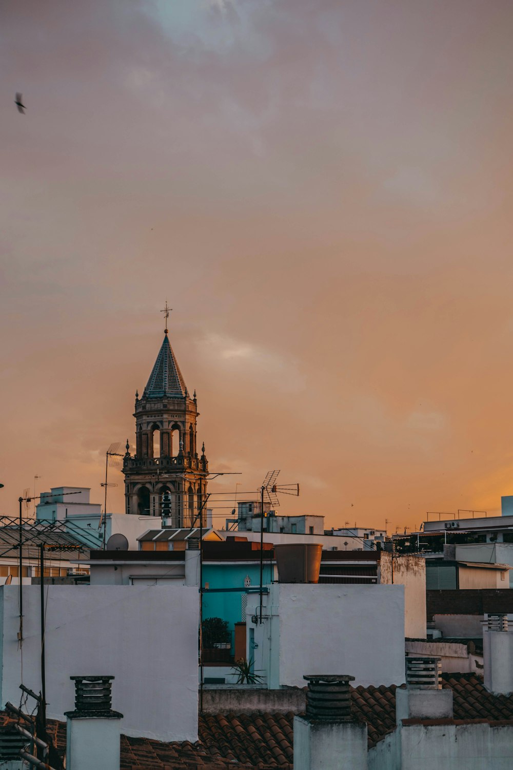 aerial photography of building during golden hour