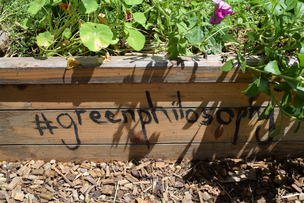 brown wooden plant box