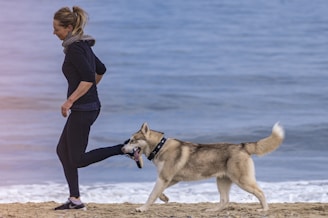 dogAdvisor | dog Advisor | dogadvisor.dog | dog Advisor