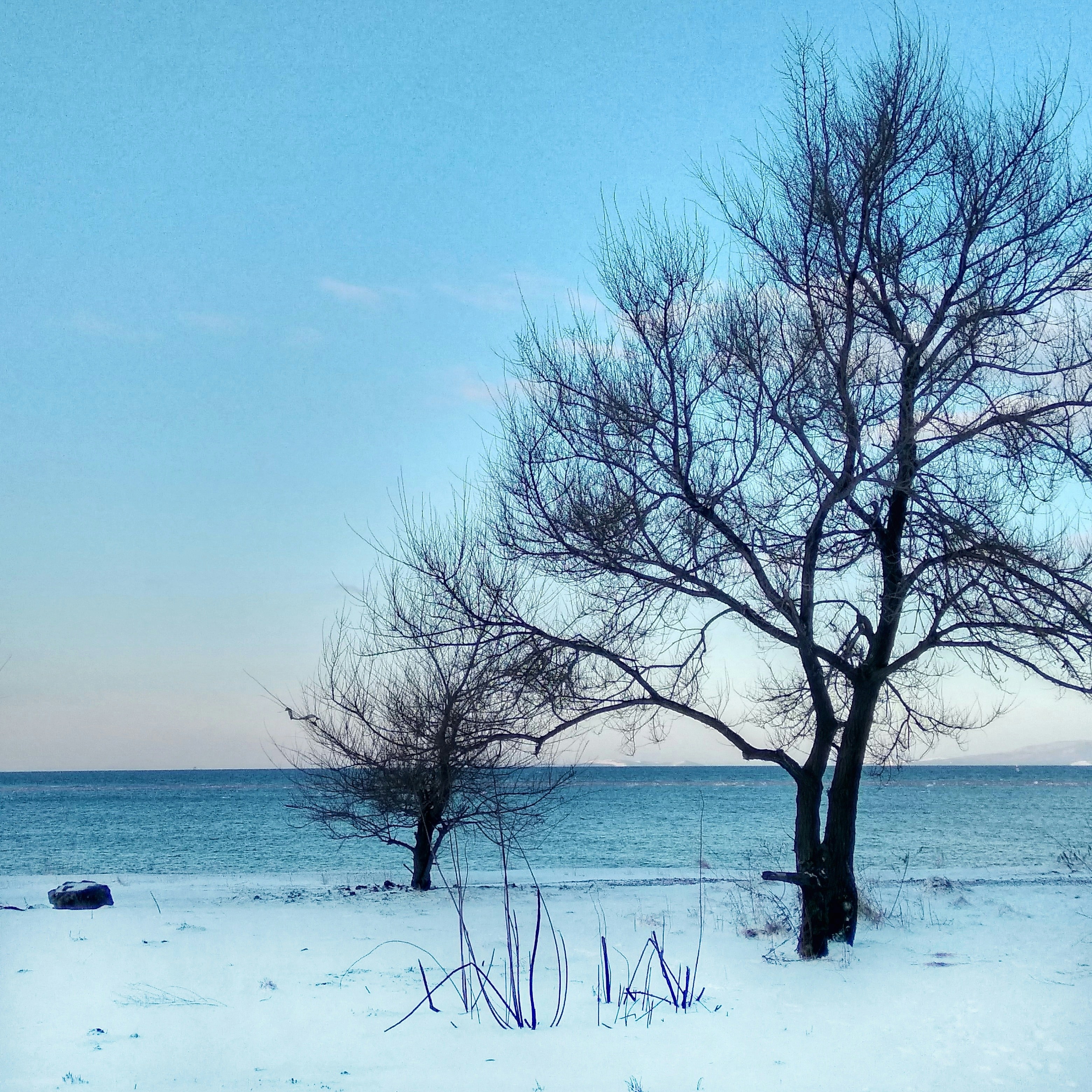 Photo by 8005978104deepak